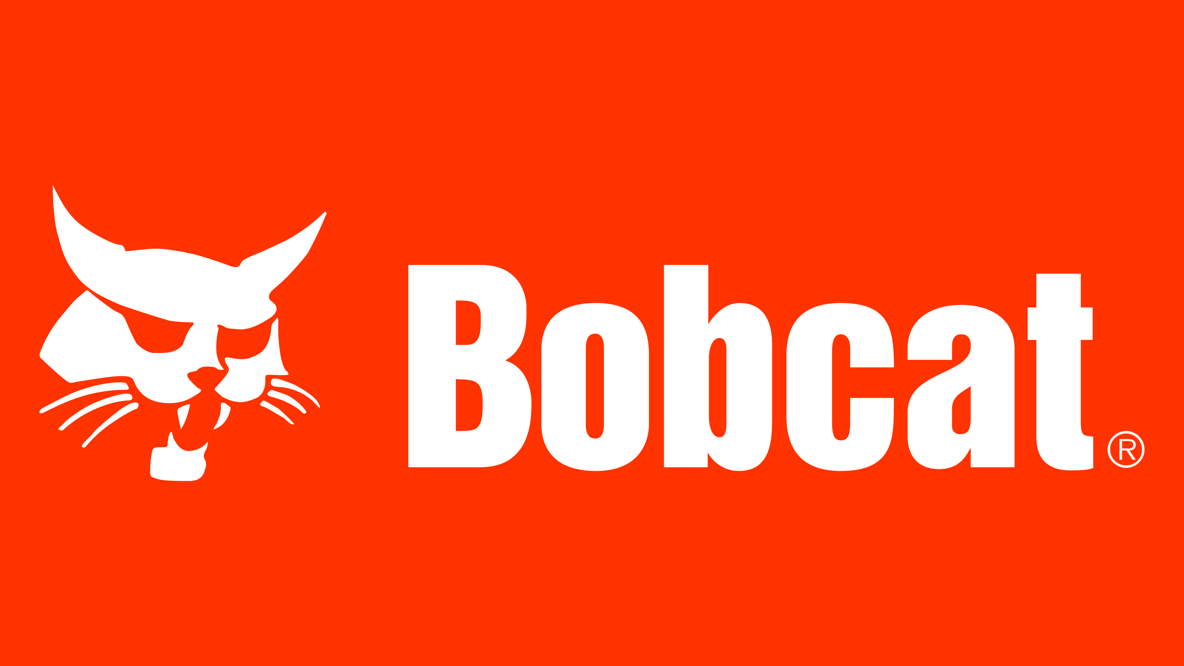 Bobcat